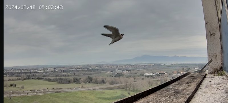 Secondo subito dietro 9.02.43