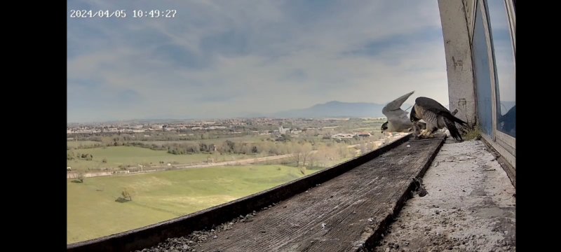 Consegna