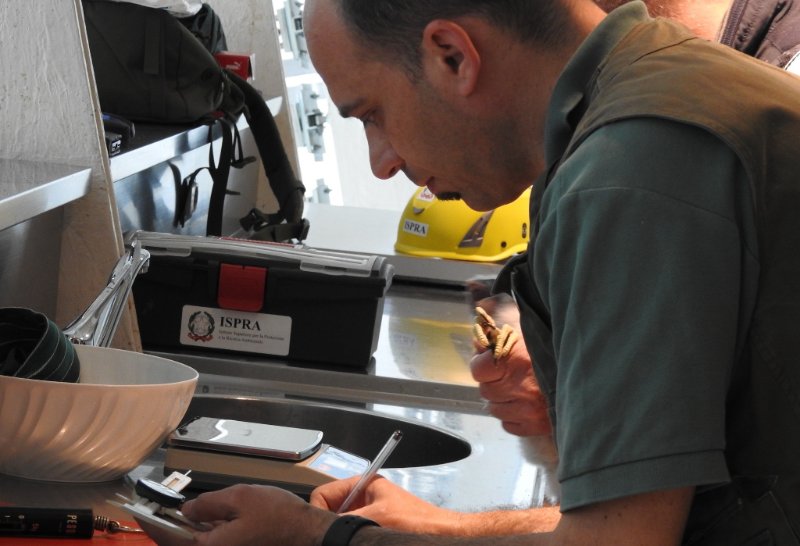 registrazione dei dati raccolti .jpg