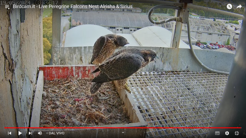 Screenshot (219).png