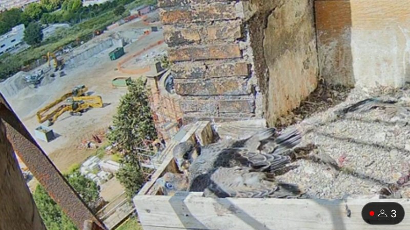 Screenshot_20240523-103210.jpg