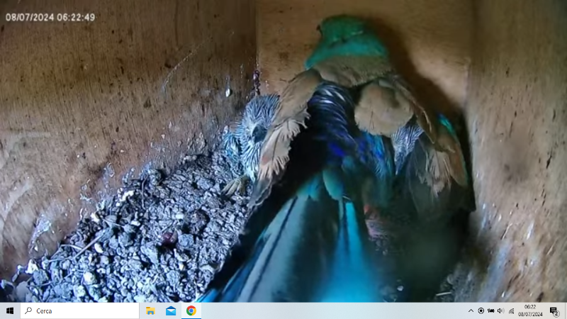 Screenshot (740).png