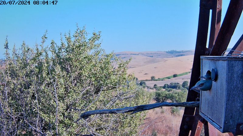 SnapShot-20240720_080454.jpg