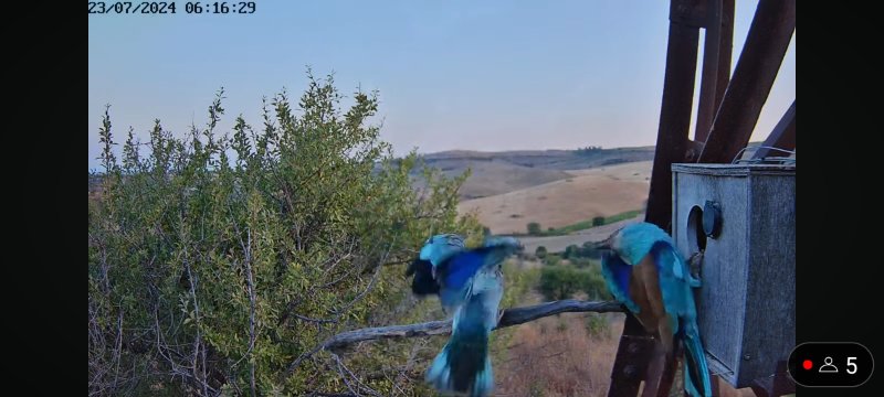 Screenshot_2024-07-23-07-56-43-88_f9ee0578fe1cc94de7482bd41accb329.jpg