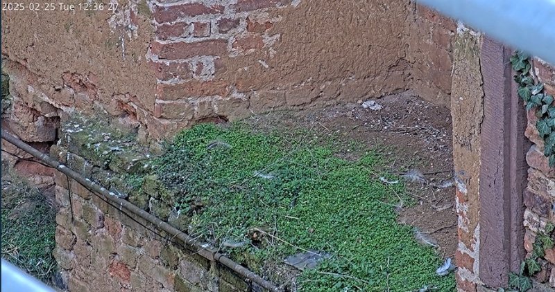 old castle2.jpg