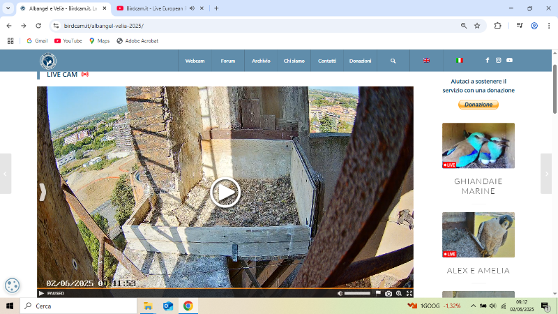 Screenshot (1388).png