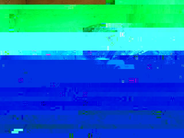 assioloCA3F8C22.jpg