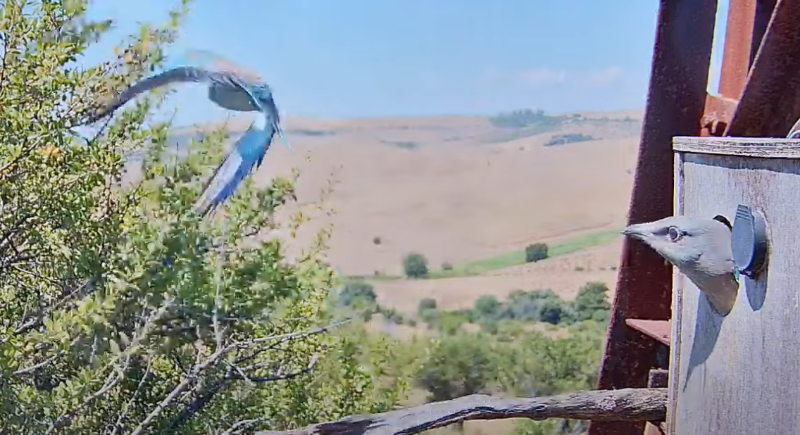 si fa così