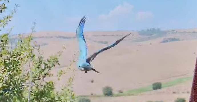 mi ero persa questa consegna