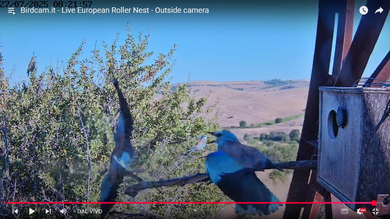 Screenshot (1757).png