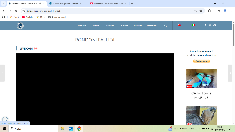 Screenshot (1866).png