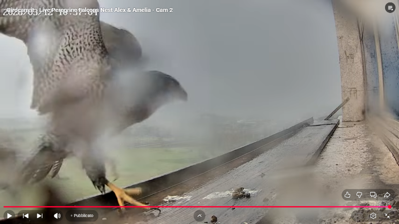 Screenshot (2107).png