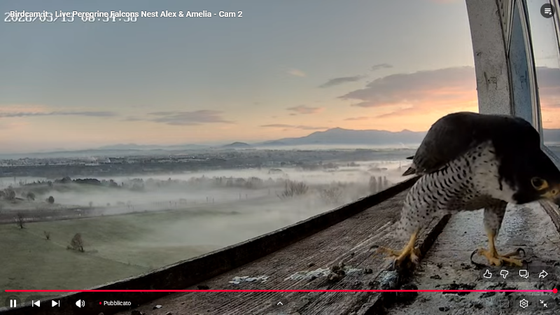 Screenshot (2110).png