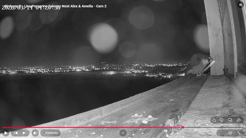 Screenshot (2120).png