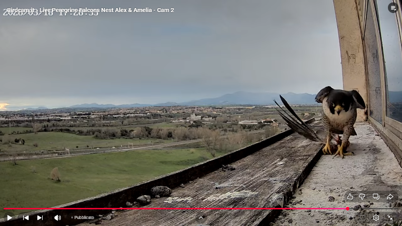 Screenshot (2161).png