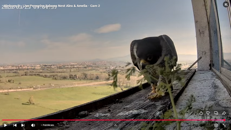 Screenshot (2200).png