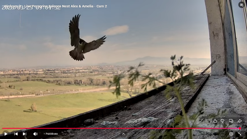 Screenshot (2198).png