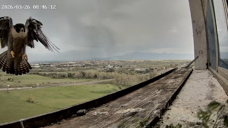 Screenshot (2213).png
