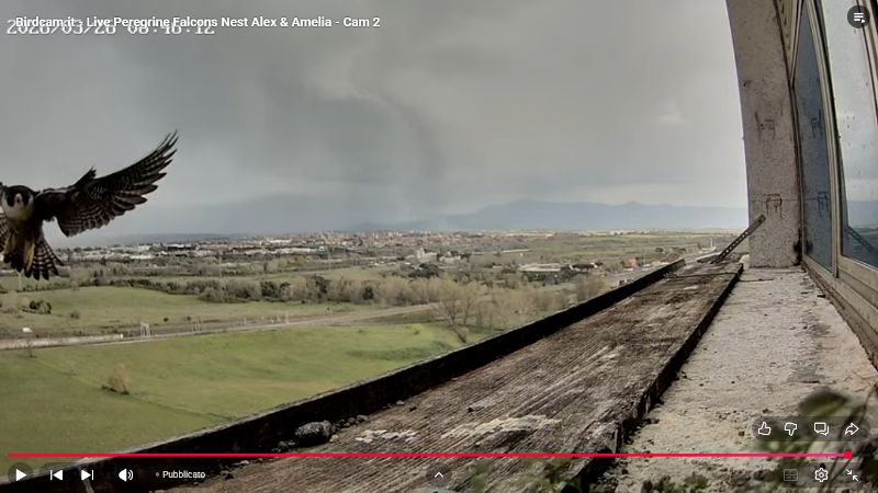 Screenshot (2212).png