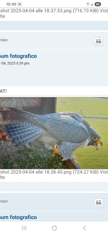 Screenshot_20260327_104022_Chrome.jpg