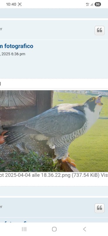 Screenshot_20260327_104006_Chrome.jpg