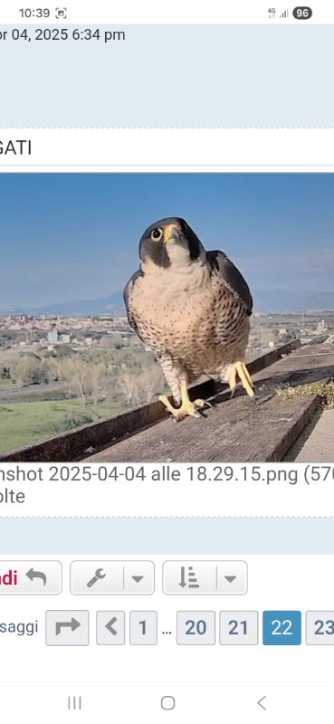 Screenshot_20260327_103943_Chrome.jpg