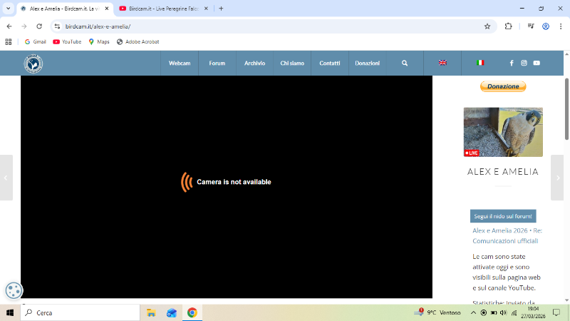 Screenshot (2229).png