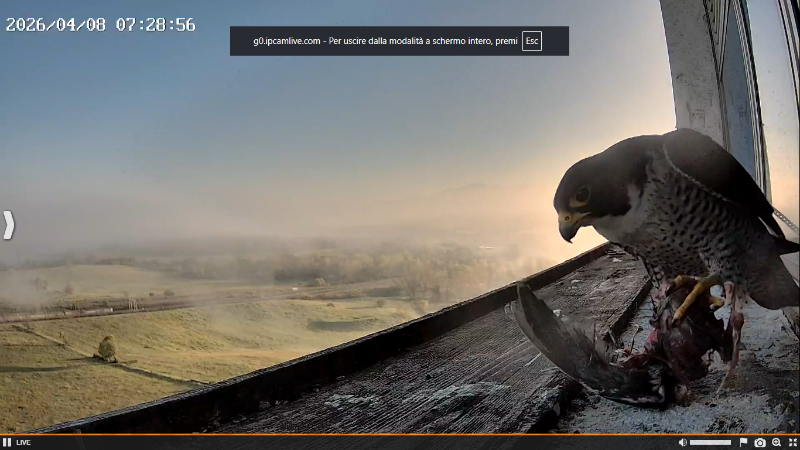 Screenshot (2273).png