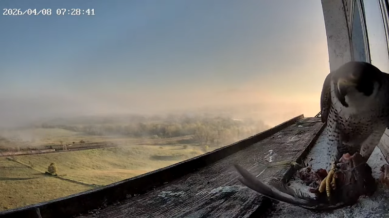 Screenshot (2277).png