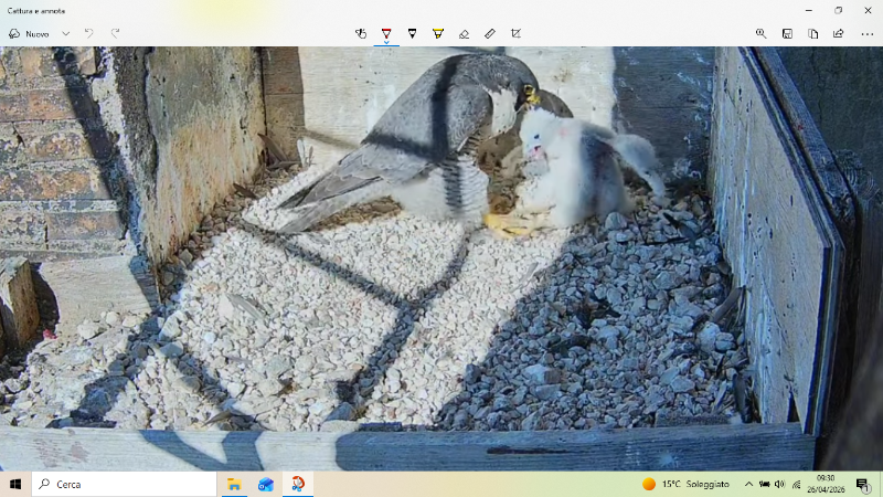 Screenshot (2407).png