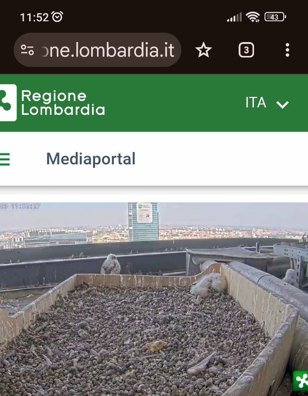 Screenshot_2026-05-02-11-52-46-768_com.android.chrome.jpg
