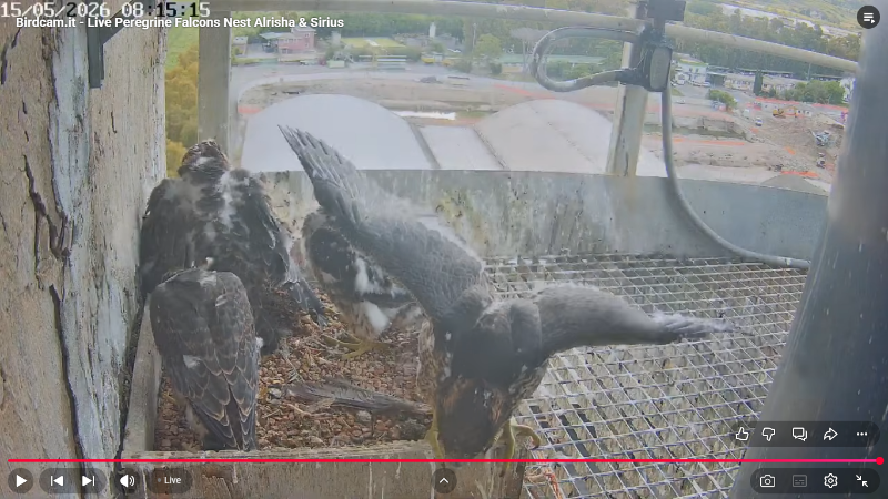 Screenshot (2543).png