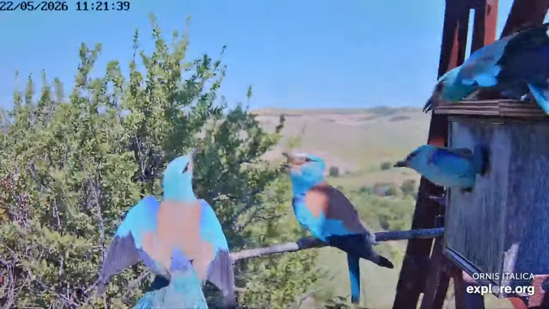 Screenshot (2620).png