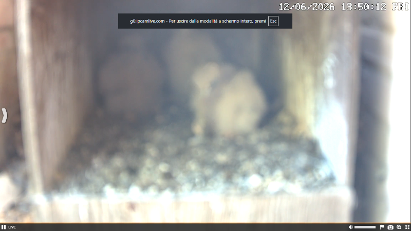 Screenshot (2765).png