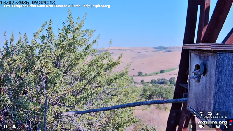 Screenshot (2880).png