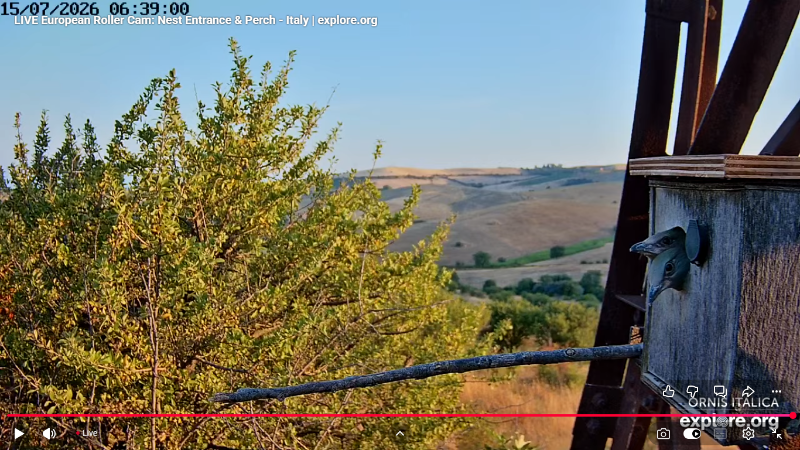Screenshot (2881).png