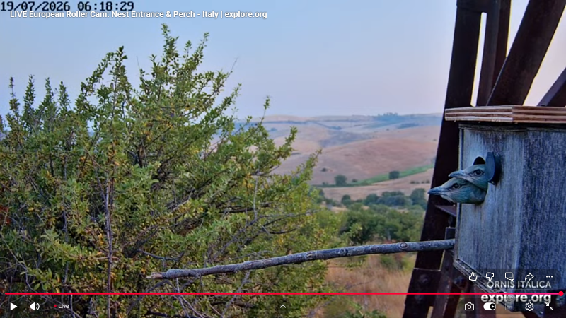 Screenshot (2900).png