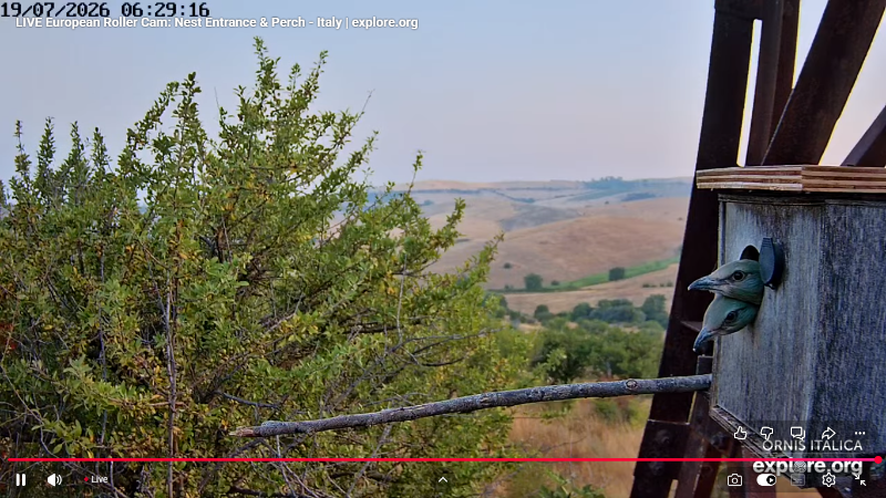Screenshot (2901).png