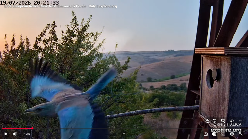 Screenshot (2907).png