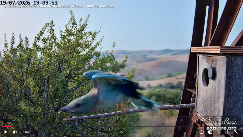 Screenshot (2904).png