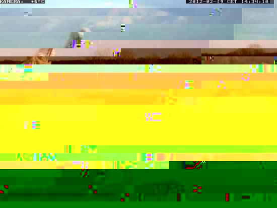 000031.jpg