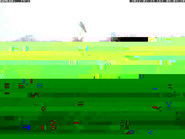 000030.jpg