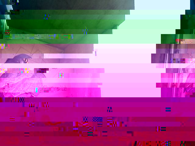 verginevdgzcv.jpg