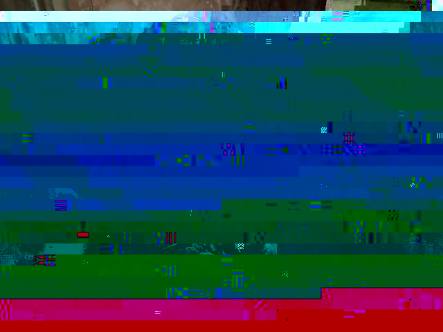42.jpg