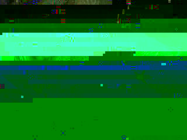 37.jpg