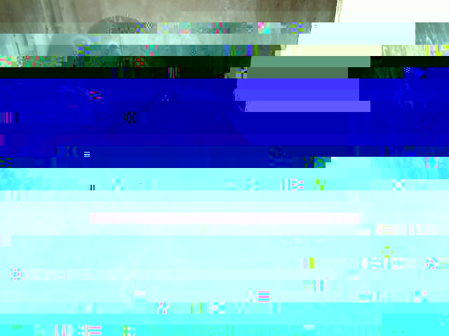48.jpg