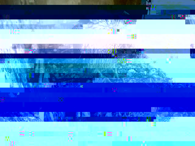 vergine 15-5-2012.jpg