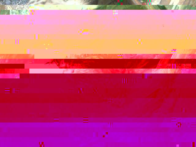 clau.jpg