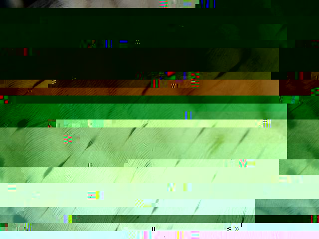114.jpg