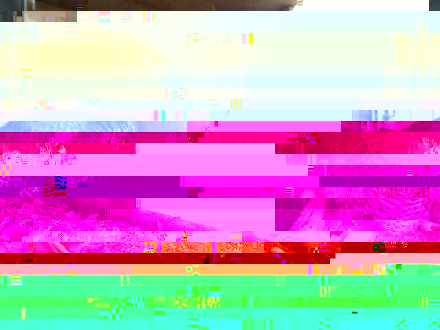 salonehdzdhdh.jpg